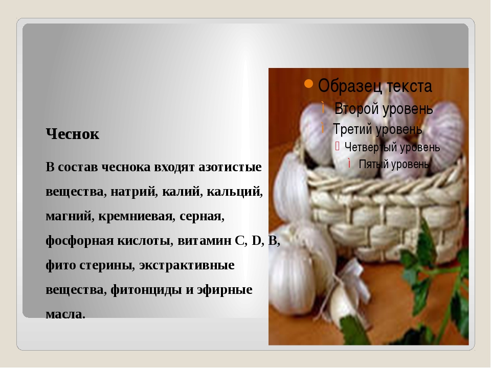 Чеснок состав. Состав чеснока. Химический состав чеснока. Вещества в чесноке. Хим состав чеснока.