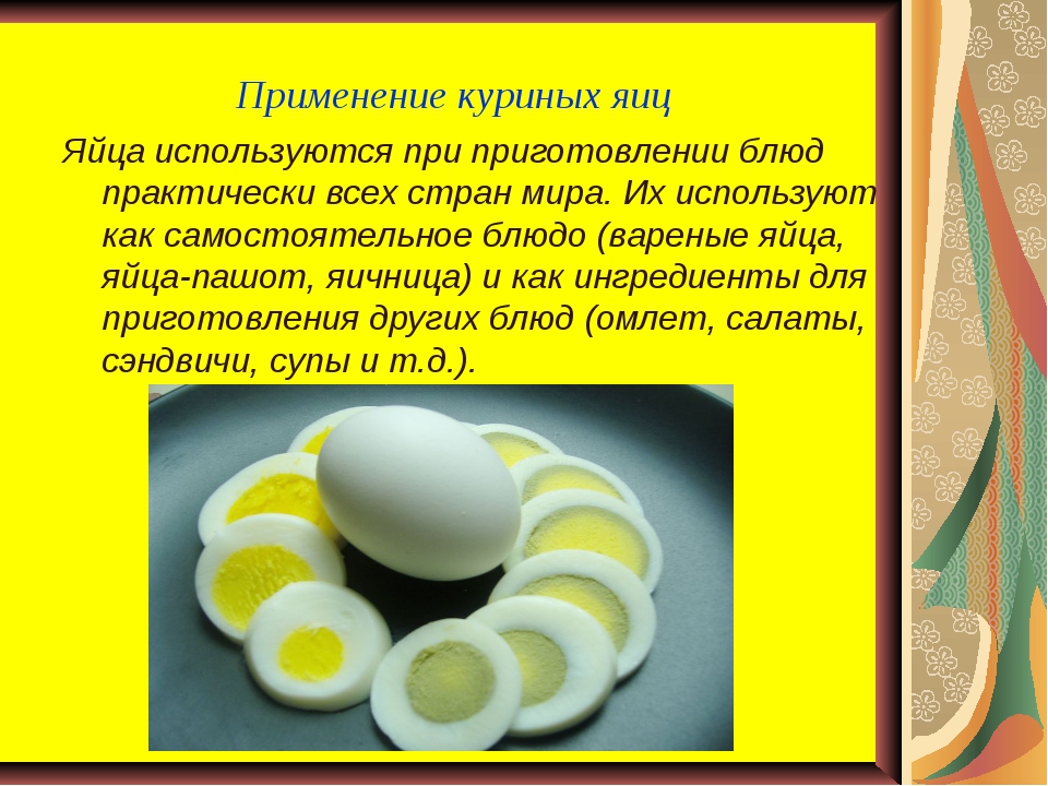 Куриные яйца польза и вред для организма. Интересные факты о яйцах куриных. Интересные факты о блюдах из яиц. Куриное яйцо презентация. Интересные яйца.