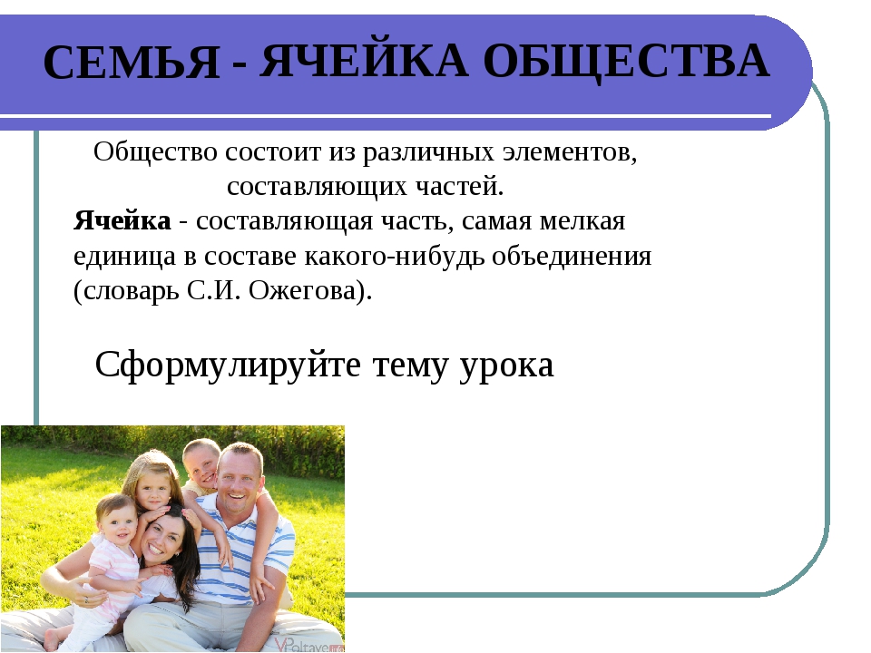 Семейное 7 класс. Семья ячейка общества. Семья презентация к уроку. Семья первичная ячейка общества. Презентация по обществознанию на тему семья.