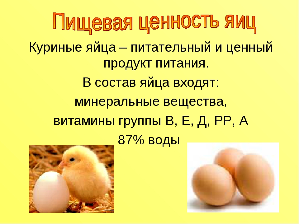Куриные яйца польза и вред для организма. Информация о куриных яйцах. Яйцо полезные вещества. Качество яйца куриного. Полезные вещества в яйце курином.