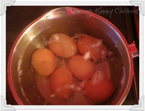 Boiling the eggs